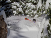 Support Make A Hero at Mt. Hood Meadows; Discount lift Tickets