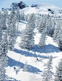 Explore the Vosges mountains