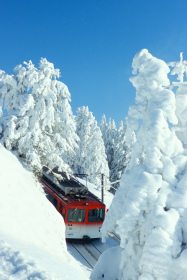 Fresh snow in the Alps