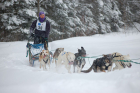 Sled dogs to race at Burke Mountain.
