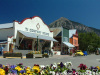 Wildflowers are in bloom in early June.