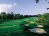 Treetops Fazio Course 18th hole.