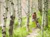 Ride on 700k of single-track mountain bikes trails in the Sun Valley region.