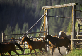 320 Guest Ranch features Big Sky activities.