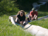 Ride the Alpine Slide with an Outdoor Adventure Center Package.