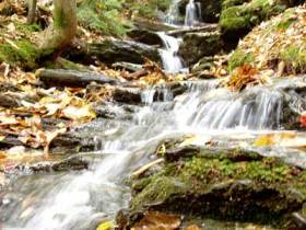The Berkshires offer vast natural beauty, along with many cultural attractions.