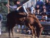The Beaver Creek Rodeo runs Thursday nights in July and August.