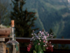 Hearty alpine breakfast above Mayrhofen