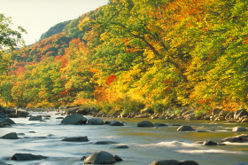 Enjoy Saturday night performances at Loon, along the Pemigewasset River.