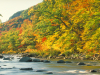 Enjoy Saturday night performances at Loon, along the Pemigewasset River.