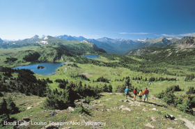 Banff Ski Hub can book hiking in Sunshine Meadows.