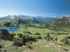 Banff Ski Hub can book hiking in Sunshine Meadows.