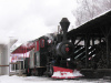 The JE Henry steam locomotive carries passengers across Loon's base area, from one lodge to another, summer and winter.