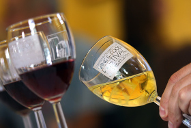 Wine tasting in Valais