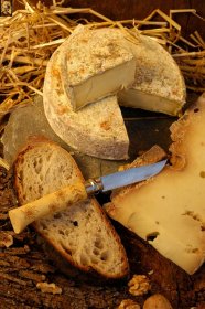 Taste mountain cheeses at the Alpine Culinary Festival