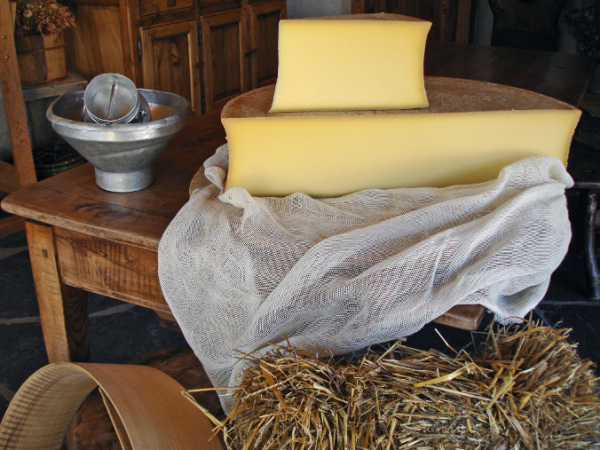 Enjoy cheese tasting in Mayrhofen