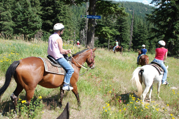 Horse riding in Cote d'Azur Montagnes