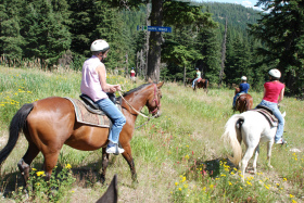 Horse riding in Cote d'Azur Montagnes