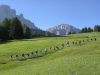 Walking in Val Gardena