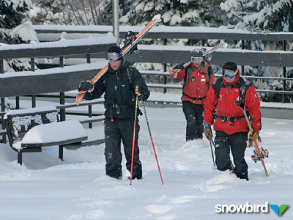 Pre-purchase ski lessons with your favorite instructor at Snowbird