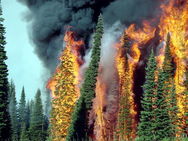Red Lodge Resort got a big scare this summer with a forest fire licking the edge of the ski hill.