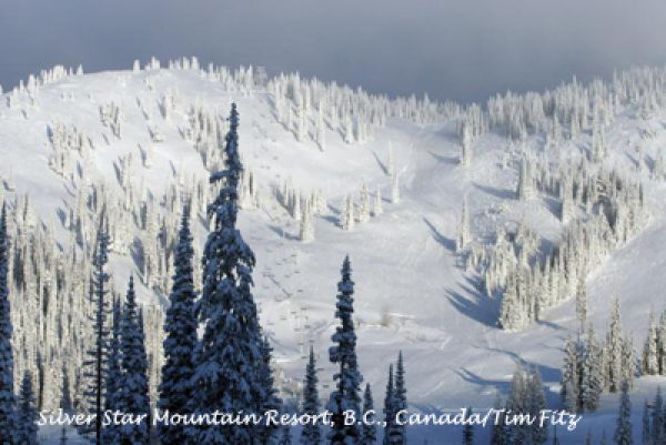 Head to Silver Star Mountain Resort to add some easy Christmas twinkle to your holiday vacation.