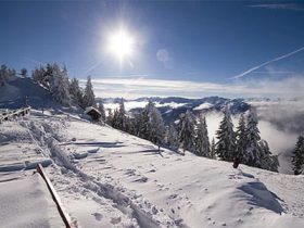 Innsbruck, the spectacular capital of the Tirol, is offering short-break deals at special rates this winter.