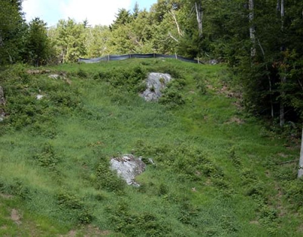 Rolling Thunder, one of two new trails at Okemo's Jackson Gore, with ledge, runoff barriers and lots of green grass.