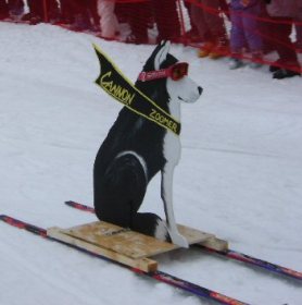 Photo Courtesy of Cannon Mountain