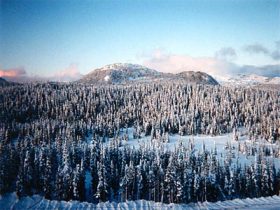 This winter marks the 30th anniversary of Mount Washington Resort.