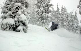 Alpine Meadows will be the site of a benefit for well-known local. 