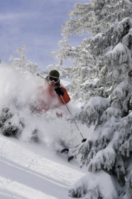 Finding a line through one of Wolf Creek's legendary dumps