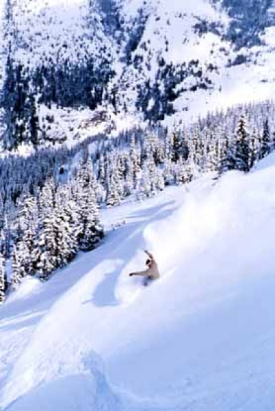 The beauty of Crystal Mountain's expert terrain
