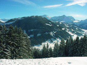 Gstaad Ski Area