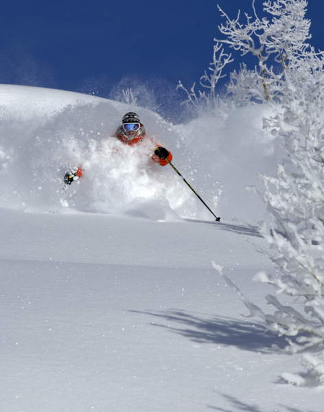 Winter Park powder