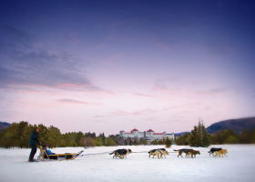 Dogsledding at Bretton Woods.