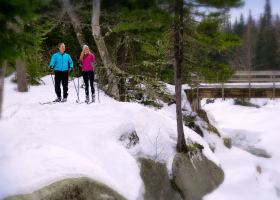 Nordic skiing at Bretton Woods.