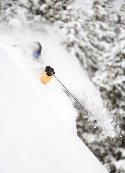 Ski '09 powder for '08 prices. 