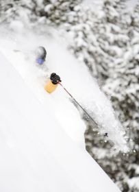 Ski '09 powder for '08 prices. 