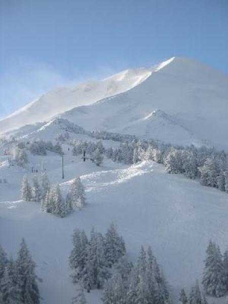 Mt. Bachelor
