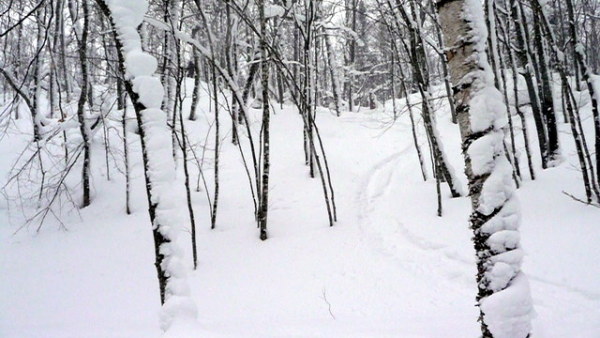 First tracks in the Midwest are a rare treat.