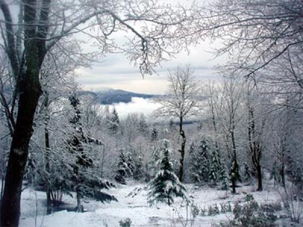 Heavy snowfall across the Alps