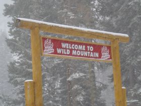 You can have a wild time at Sierra during the spring.