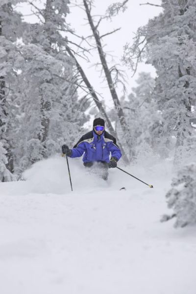 The most practical uniform while visiting Bear Mountain or Snow Summit.