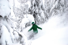 Locals ride Schweitzer on the cheap.
