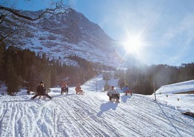 Grindelwald