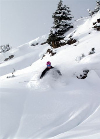 Stay at a Delta Hotel to get a discount on Air Canada flights to Canadian ski resorts.