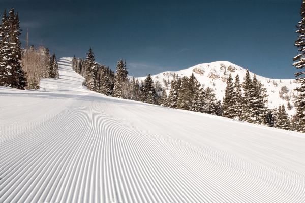 Ski with the new inductees and other great Olympians who reside in Park City