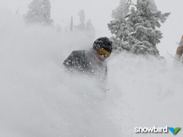 Epic powder at Snowbird and other Utah resorts.