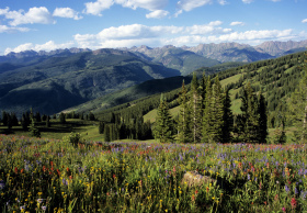 Vail Valley summertime.